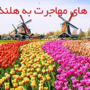 مهاجرت به هلند از صفر تا صد | آسان‌ترین راه‌ها برای مهاجرت به هلند