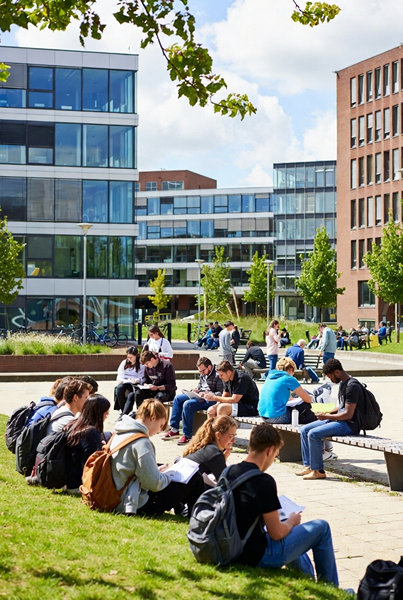 بهترین رشته‌ها برای کار و تحصیل در هلند